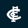Carlton Blues - AFL Sustainable Down Puffy Blanket colour swatch