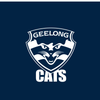 Geelong Cats - AFL Sustainable Down Puffy Blanket colour swatch