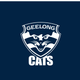 Geelong Cats - AFL Sustainable Down Puffy Blanket colour swatch