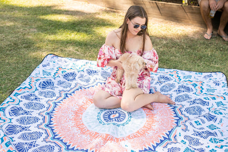 Recycled Picnic Blanket and Towel Combo