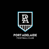Port Adelaide Power - AFL Sustainable Down Puffy Blanket colour swatch
